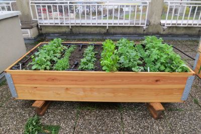 Holzbeet für Terrasse