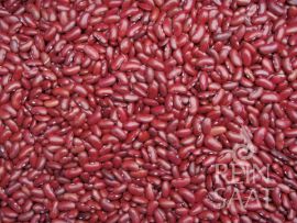 viele rote Kidneybohnen