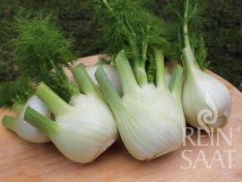 Fenchel auf Holztisch