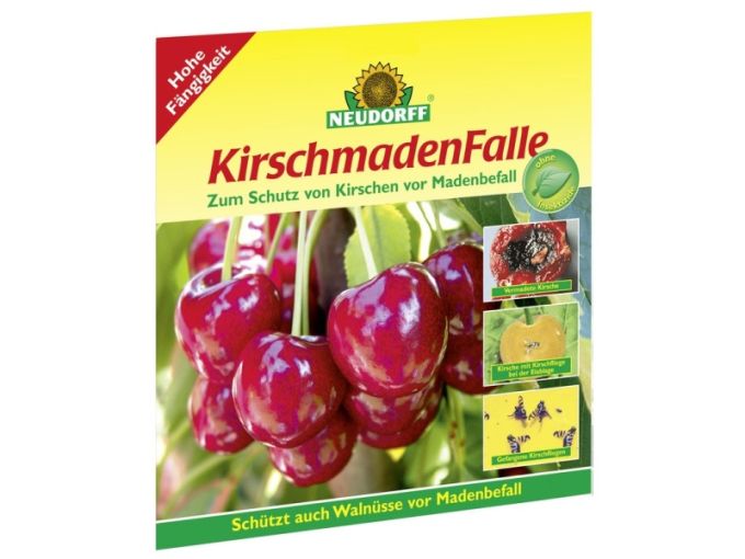 Kirschmadenfalle, 7 Stück