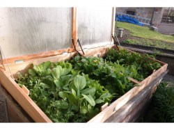 Frühbeetaufsatz Großer Frühbeetaufsatz