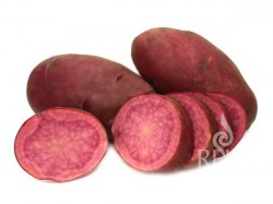 Bio Pflanzkartoffeln 'Heiderot', 1 kg rote Kartoffelsorte 'Heiderot'