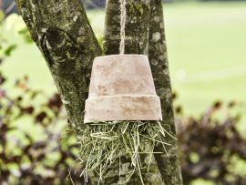 Unterschlupf für Ohrwürmer