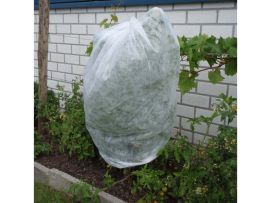 Tomatenvlies auf einer Tomatenpflanze