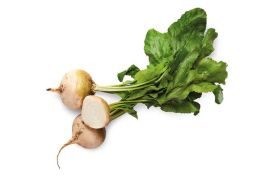 3 weiße Beta Rüben der Sorte Schneewittchen