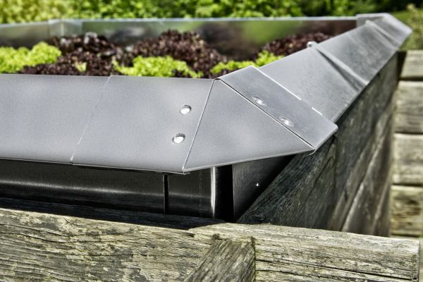 Schneckenzaun im Hochbeet