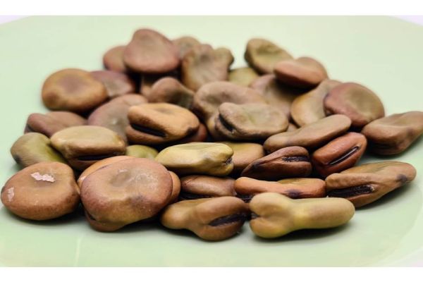 Puffbohnen Saatgut auf Teller