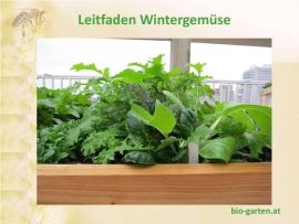 Booklet Cover von Leitfaden Wintergemüse mit Hchbeet und angebautem Wintergemüse