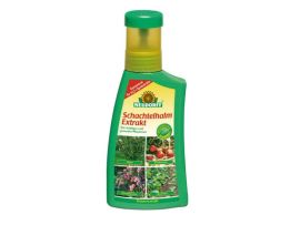 Schachtelhalm Extrakt