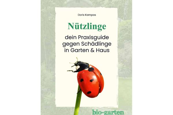 Marienkäfer auf Booklet Cover