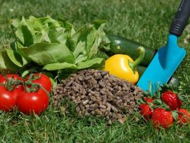 Bio-Schafwollpellets neben Gemüse und Erdbeeren