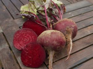 Rote Rübe 'Rote Kugel 2'