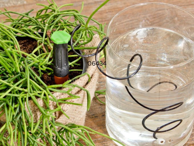 Automatischer Wasserspender 3 Stück, 3 x 11 cm