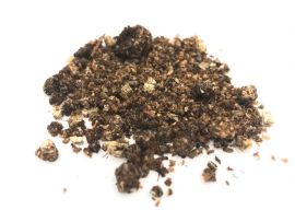 Substrat, in dem sich Raubmilben befinden