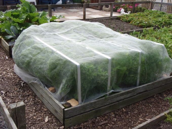 Insektennetz feinmaschig, 2,1 x 4,75 m