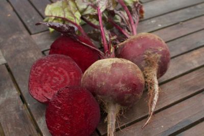 Rote Rübe, ©ReinSaat