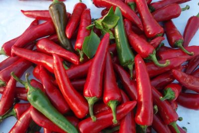 Zucchini 'Costates Romanesco' ©ReinSaat