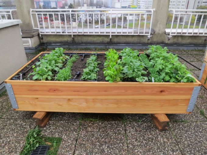 Terrassenbeet 100 x 200 cm, 34 cm Höhe