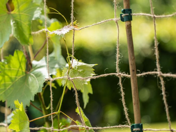Ranknetz aus Jute, 1,8 x 2,5 m