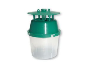 Pheromon-Trichterfalle-Set gegen Buchsbaumzünsler