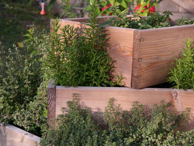 Kräuter-Pyramide mit Boden, 80 x 80 cm, 60 cm Höhe