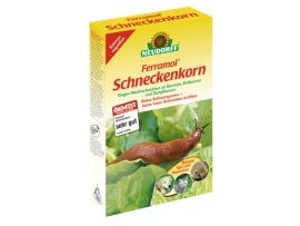Ferramol Schneckenkorn gegen Nacktschnecken