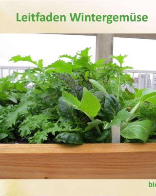 Booklet Cover von Leitfaden Wintergemüse mit Hchbeet und angebautem Wintergemüse