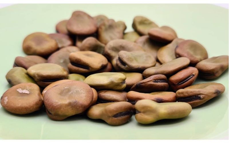 Puffbohnen Saatgut auf Teller